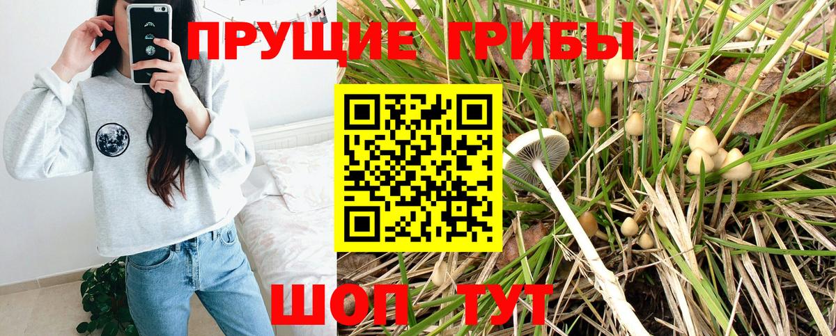 Галлюциногенные грибы мицелий Зеленодольск